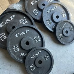 New pair of 50,25,10lb regular plates