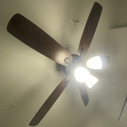 Celling Fan