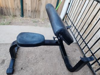 Preacher curl bench
