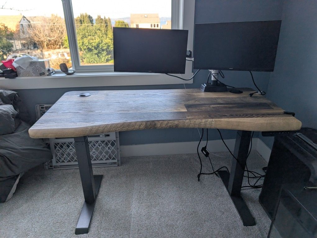 Vari Ergo Standing desk w/adjustable monitor arms