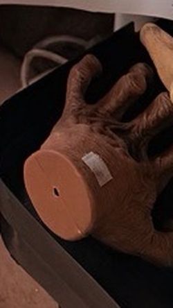 Severed Hand Halloween Prop