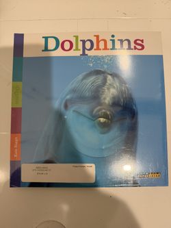 The Creative Company Seedlings 10 Book Set New