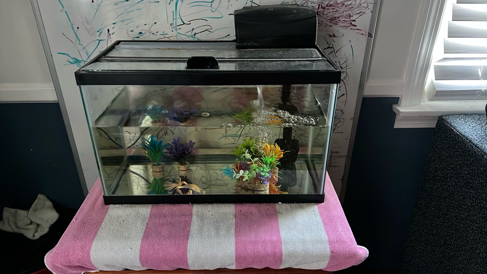 Fish Take With Filter + Decorations, Net And Aquasafe