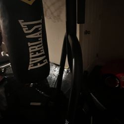 Punching Bag and Stand