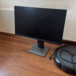 Dell Monitor.  