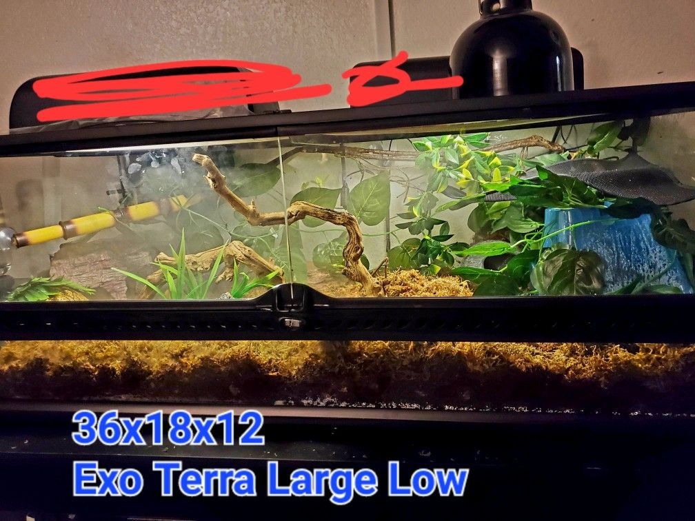 Exo Terra Large Low 36x18x12