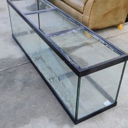 (2)     250 Gal Aquariums