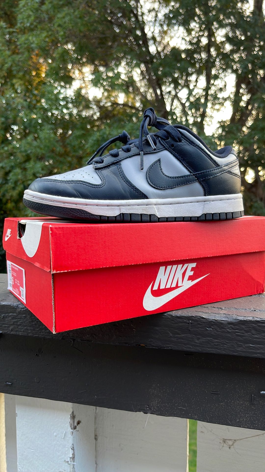 Nike Dunk Low Wolf Grey Men’s 6 Women’s 7.5