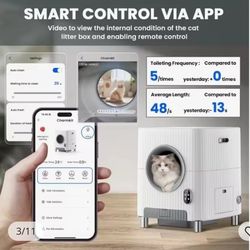 self cleaning litter box