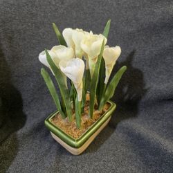Artificial Silk Plant in Ceramic Planter