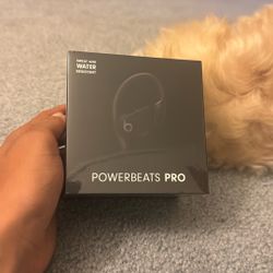 Powerbeats pro Wireless Earbuds (REAL) Brand New