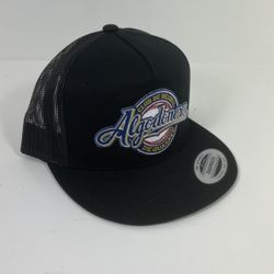 Snapback Hat$20