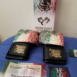 Brandon Moreno Signed Represent Boxing Gloves