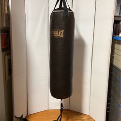 Everlast 100 lbs 4 ft Punching bag and Gloves,HW