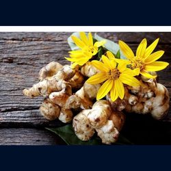 One pound Jerusalem artichokes also called sunchokes- potato substitute