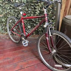Specialized Bike 