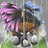 iTz_RDG-