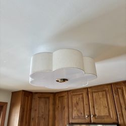 Flush Mount Ceiling Light
