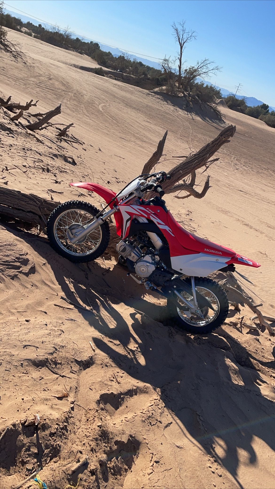 Honda Crf110f Dirt Bike For Sale ZeCycles