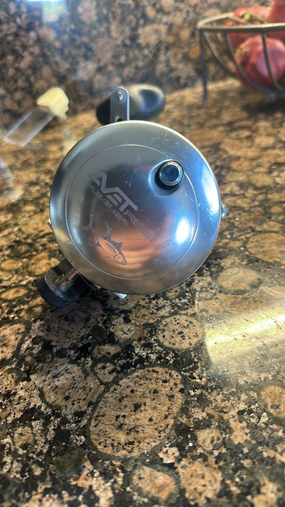 Avet LX 6/3 Fishing Reel