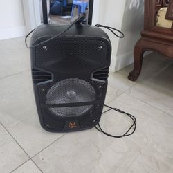 Speaker Plus Mic Set
