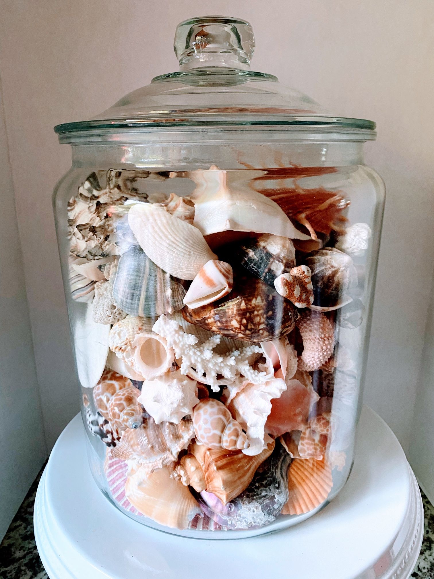 Glass Jar Full Of Seashells
