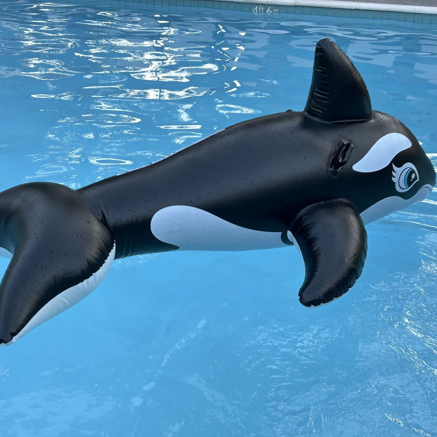 Inflatable Orca Whale Pool Float For Kids for Sale in Irvine, CA - OfferUp