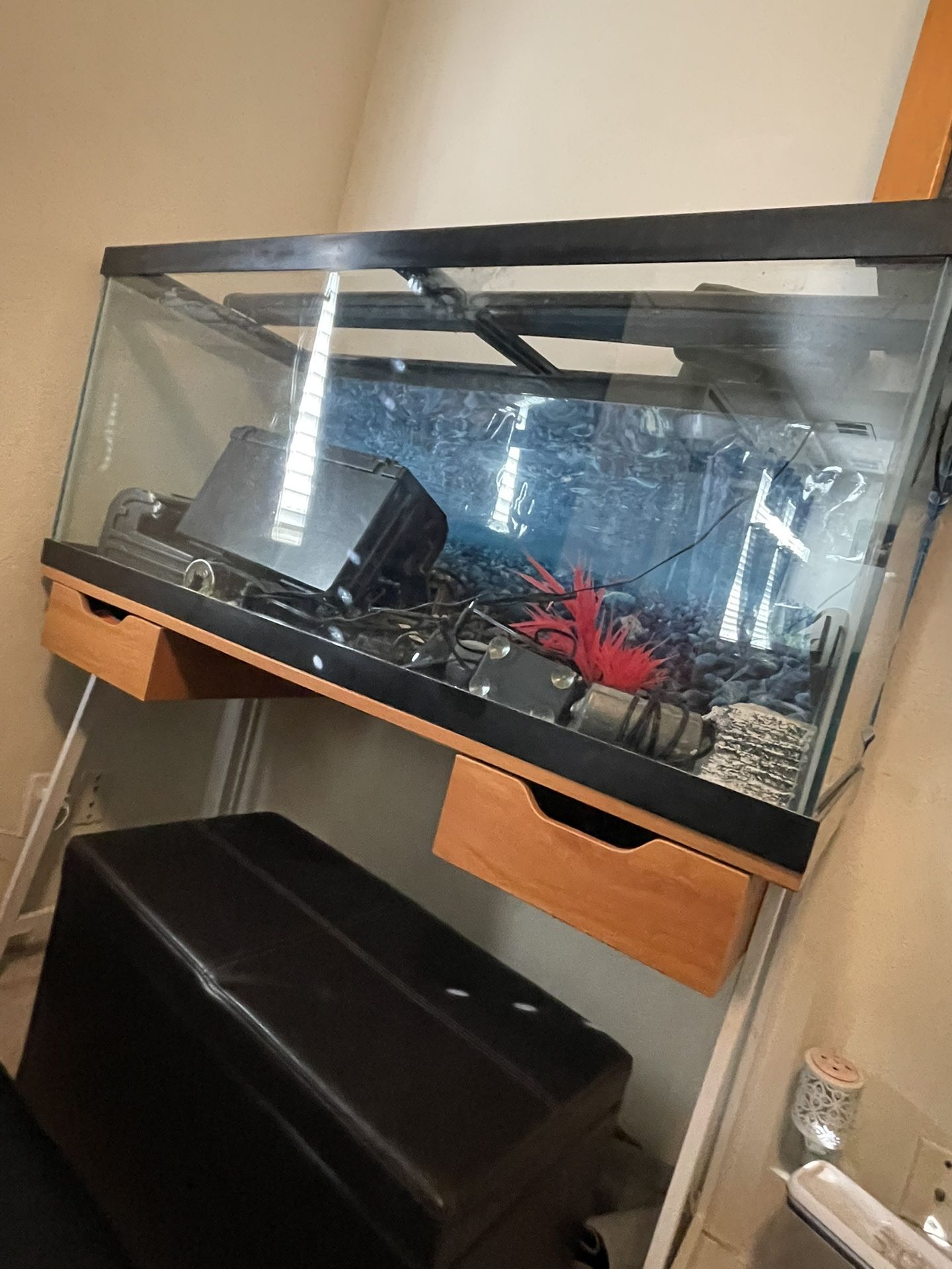 75 Gallon Fish Tank