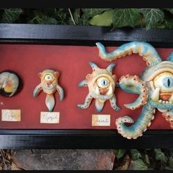 Swamp Mog Life Cycle 