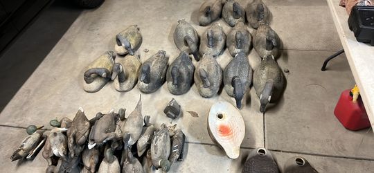 Duck And Goose Decoys