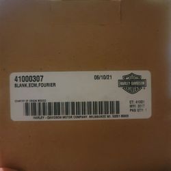 Harley Davidson ECM
