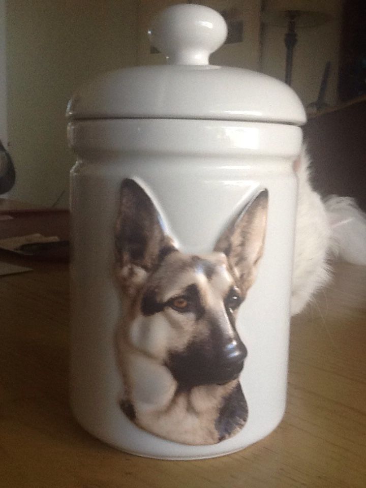 11" GERMAN SHEPHERD COOKIE JAR STILL IN GIFT BOX