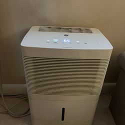 Free Dehumidifier 
