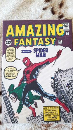 Spider Man's First Apperance Canvas Art