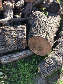 Firewood Fresh Wood