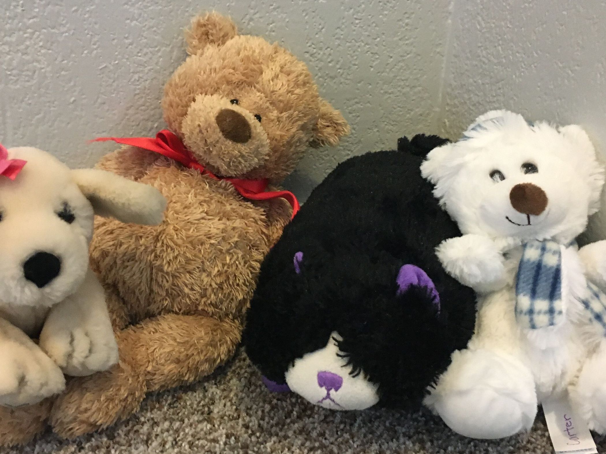 Stuffed Animals $5 Each