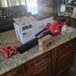 Skil 40v blower new