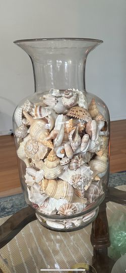 Seashells Vase Decor