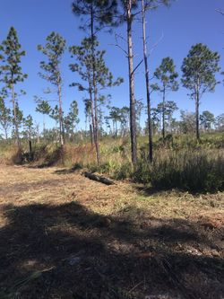 River Ranch 1.25 Acres For Sale.