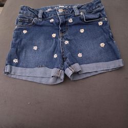 Cat And Jack Girls Shorts 