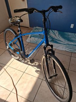 Giant Cypress DX M 700cc