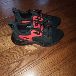 Pumas
