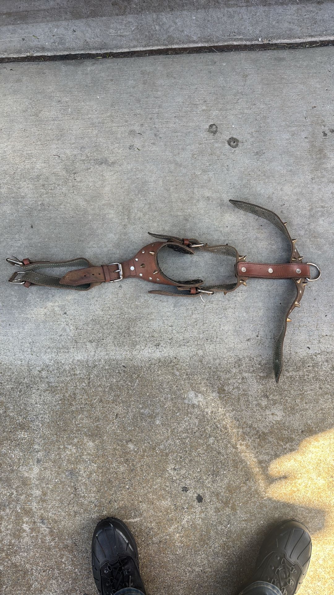 Dog - Leather Harness