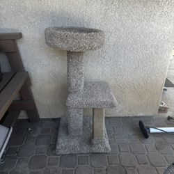 Cat Tree
