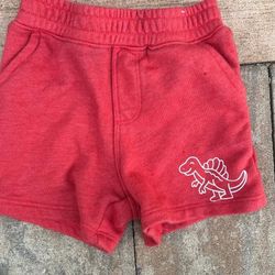 Garanimals Boy's Shorts