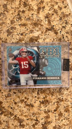 FERNANDO MENDOZA WILD CARD 1/1