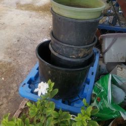 5gallon and 10gallon  Plants pot &flowerpot  ，Quantity 29