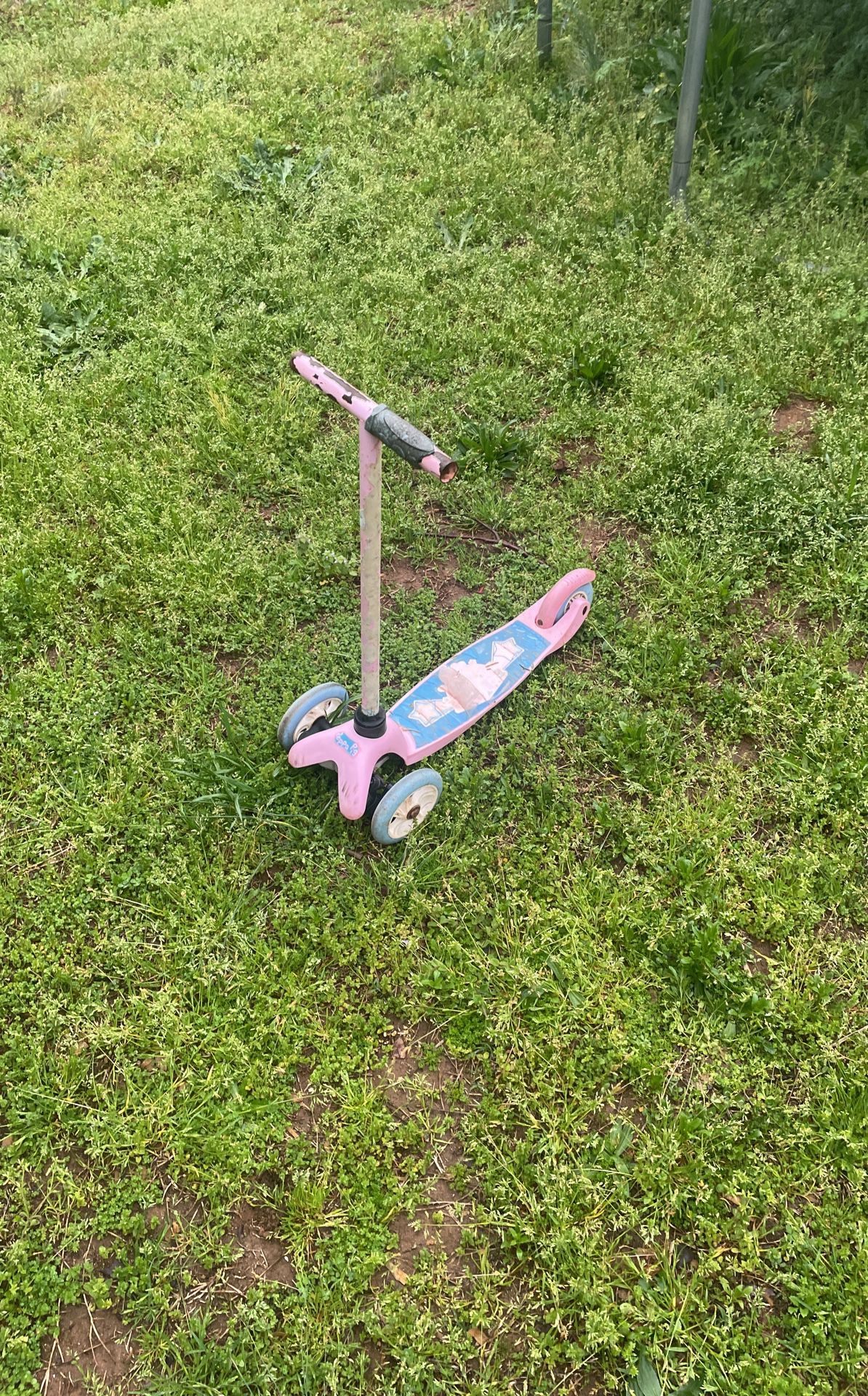 Kids Scooter