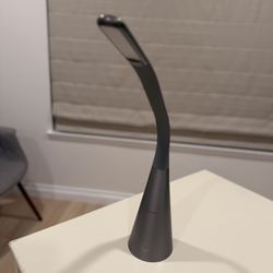 Modern Silver Gooseneck LED Desk Lamp