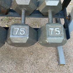 75lb Hex Iron Dumbbell Set Weights 